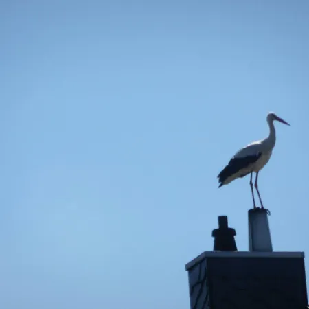 Hopfenkammer Schorfheide 아파트