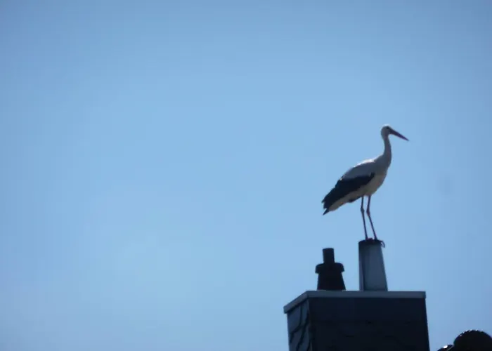 Hopfenkammer Schorfheide Lejlighed