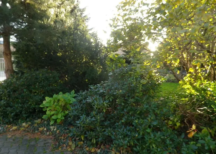 Lejlighed Hopfenkammer Schorfheide